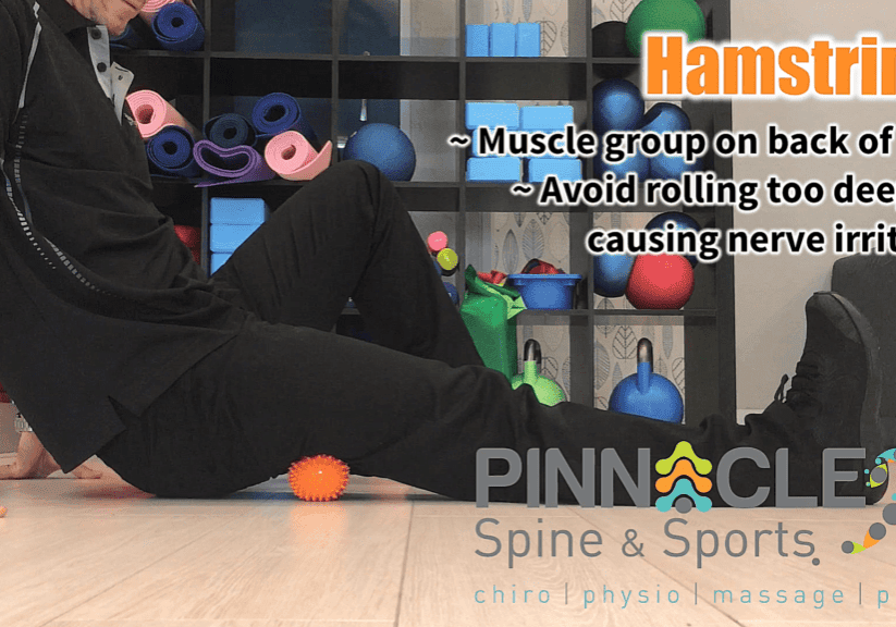 hamstrings - spiky ball