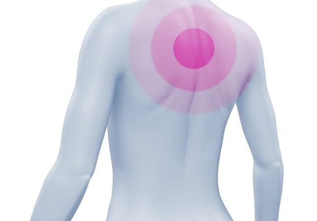iStock_000021433461600