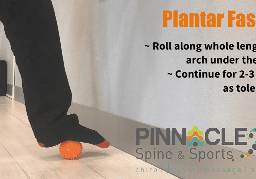 plantar fascia - spiky ball