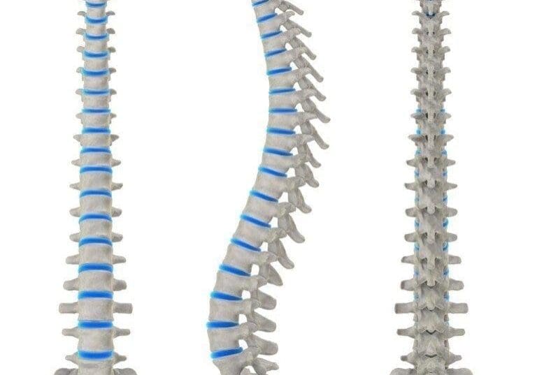 shutterstock_4099411-spine